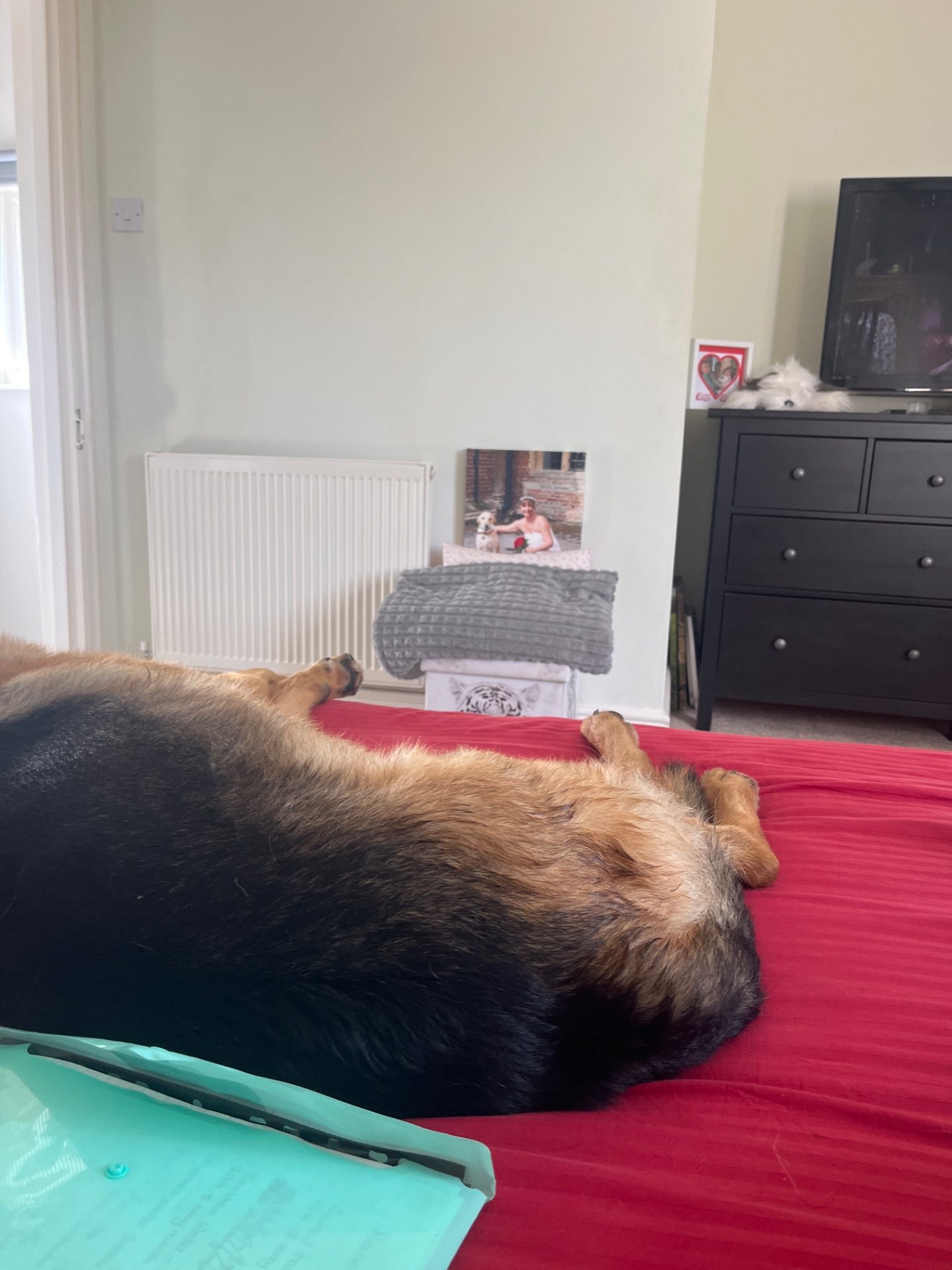 After — Mels cleaning in Longparish