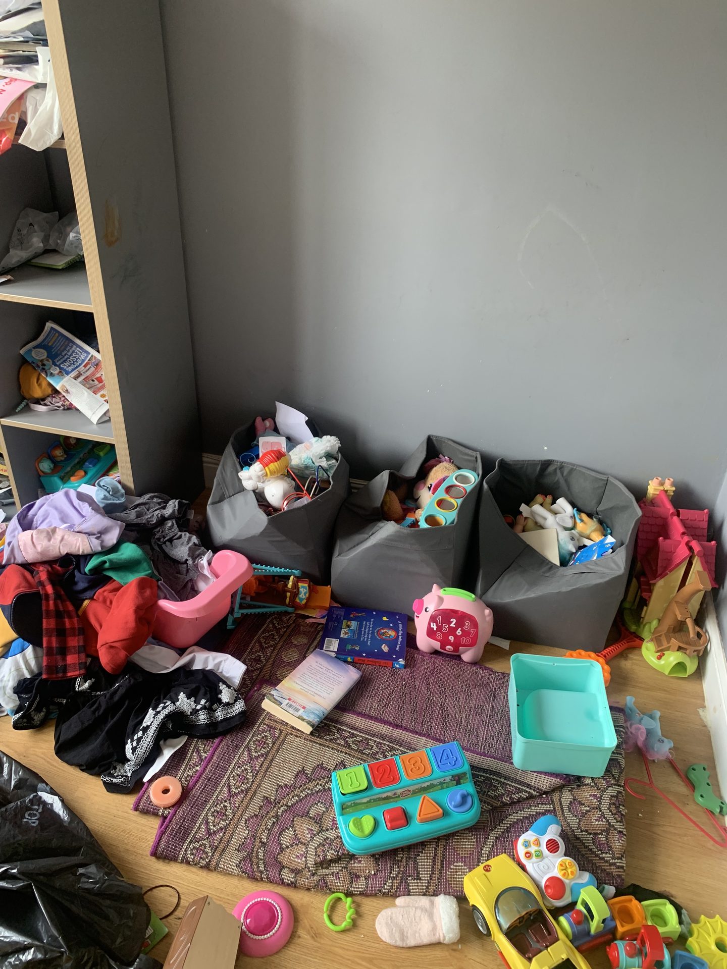 Before 2 — Declutter & Re-Organisation in Andover