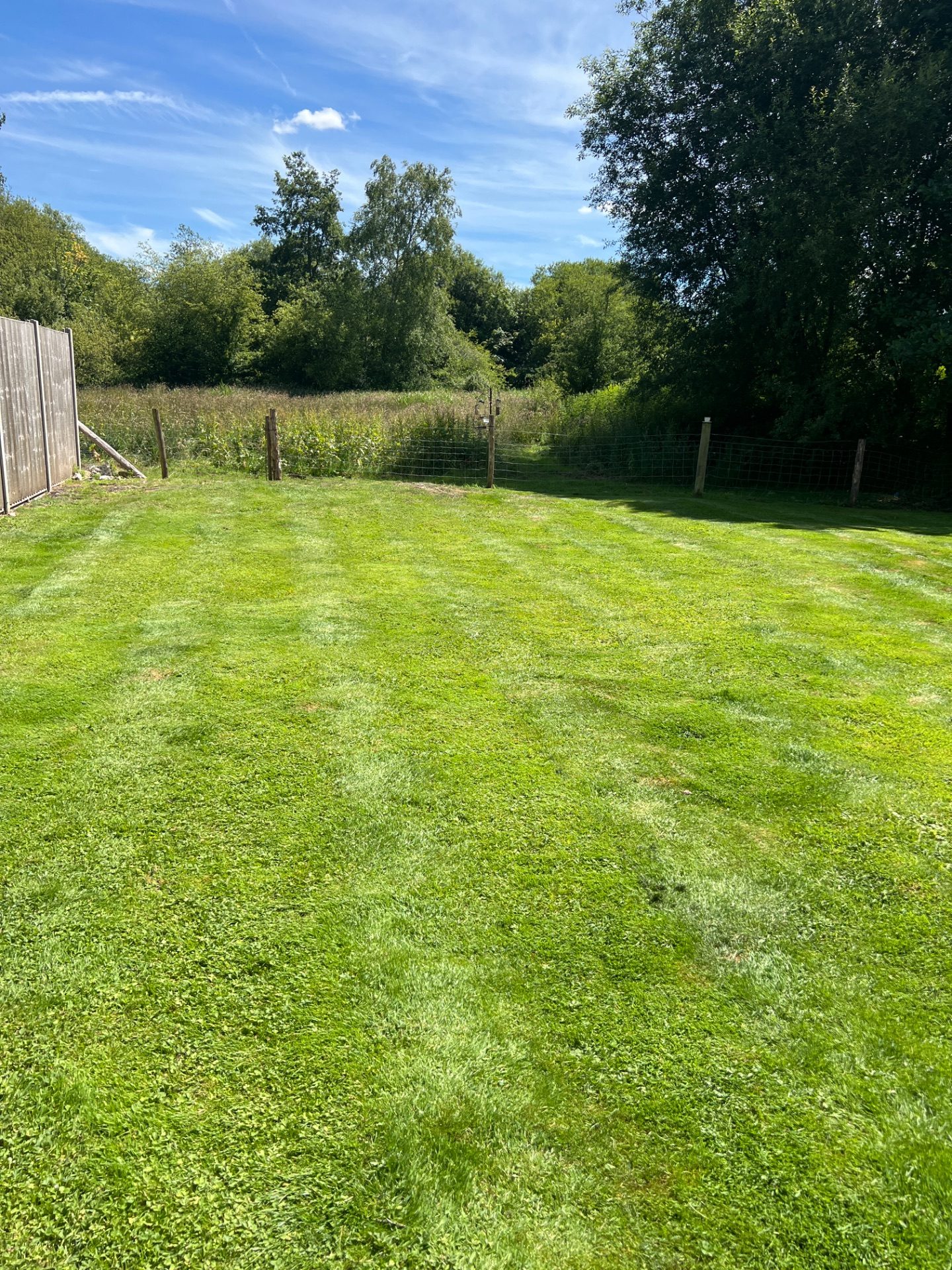 After 4 — Lawn mow + edge + tidy in Longparish