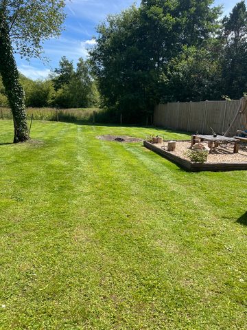Lawn mow + edge + tidy