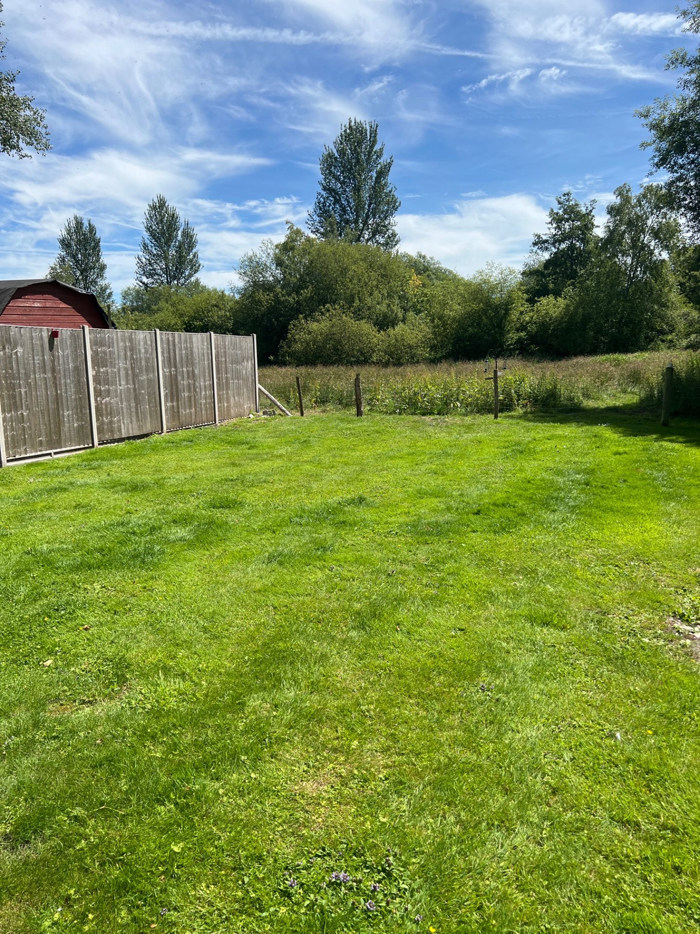Before 4 — Lawn mow + edge + tidy in Longparish