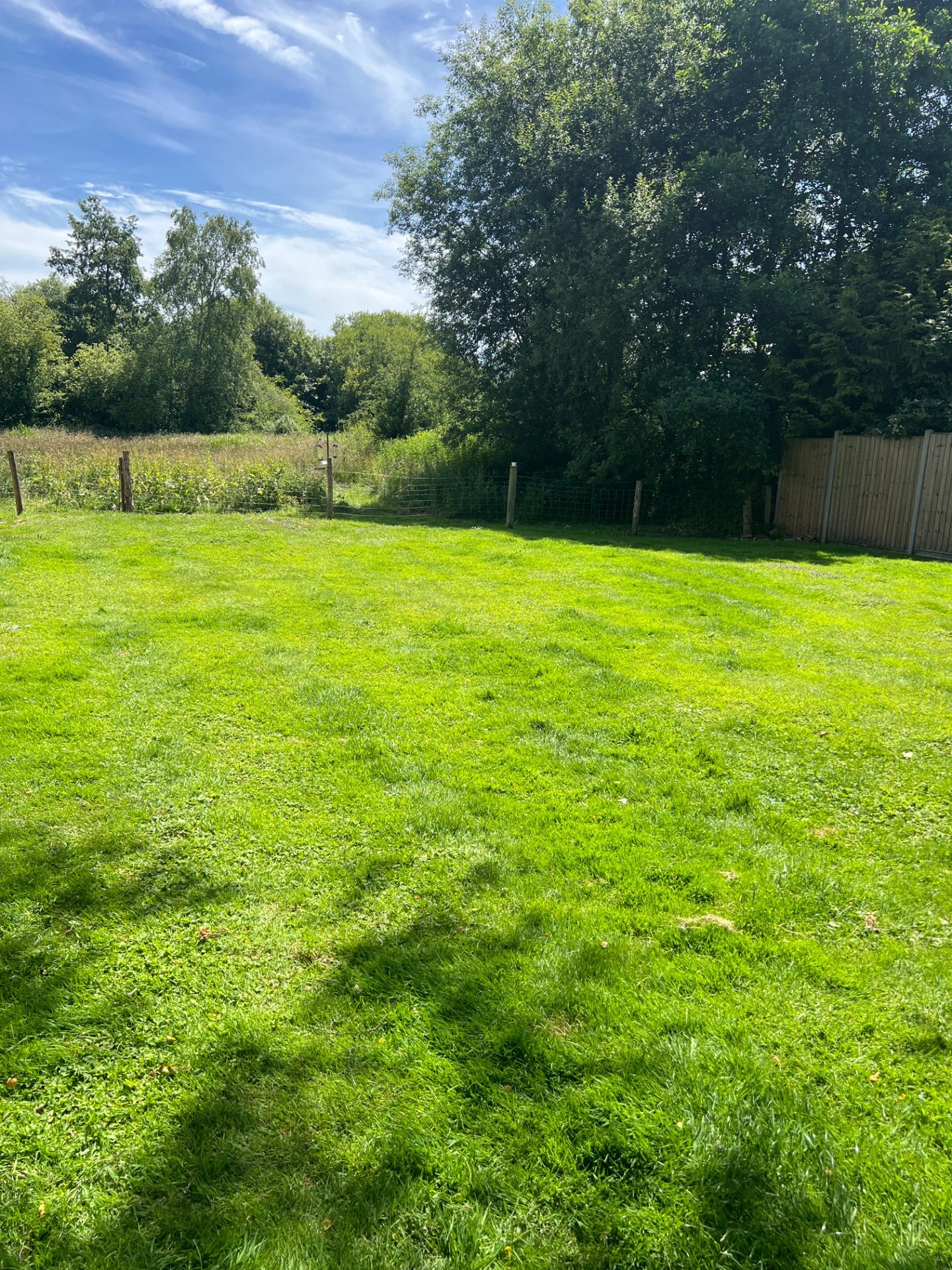 Before 3 — Lawn mow + edge + tidy in Longparish